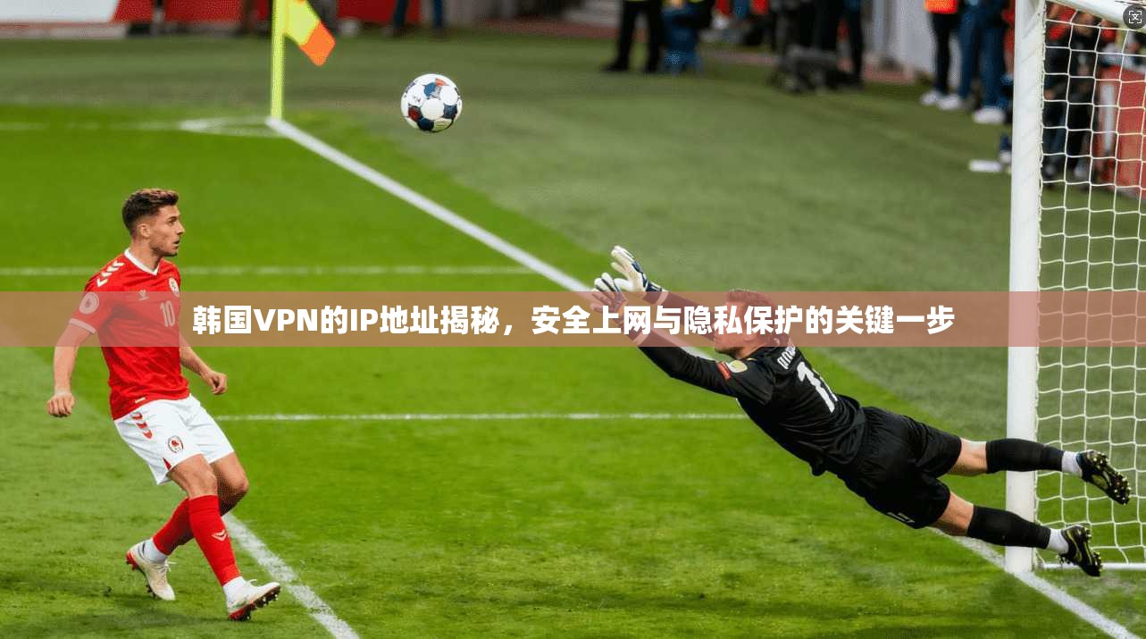 韩国VPN的IP地址揭秘,安全上网与隐私保护的关键一步