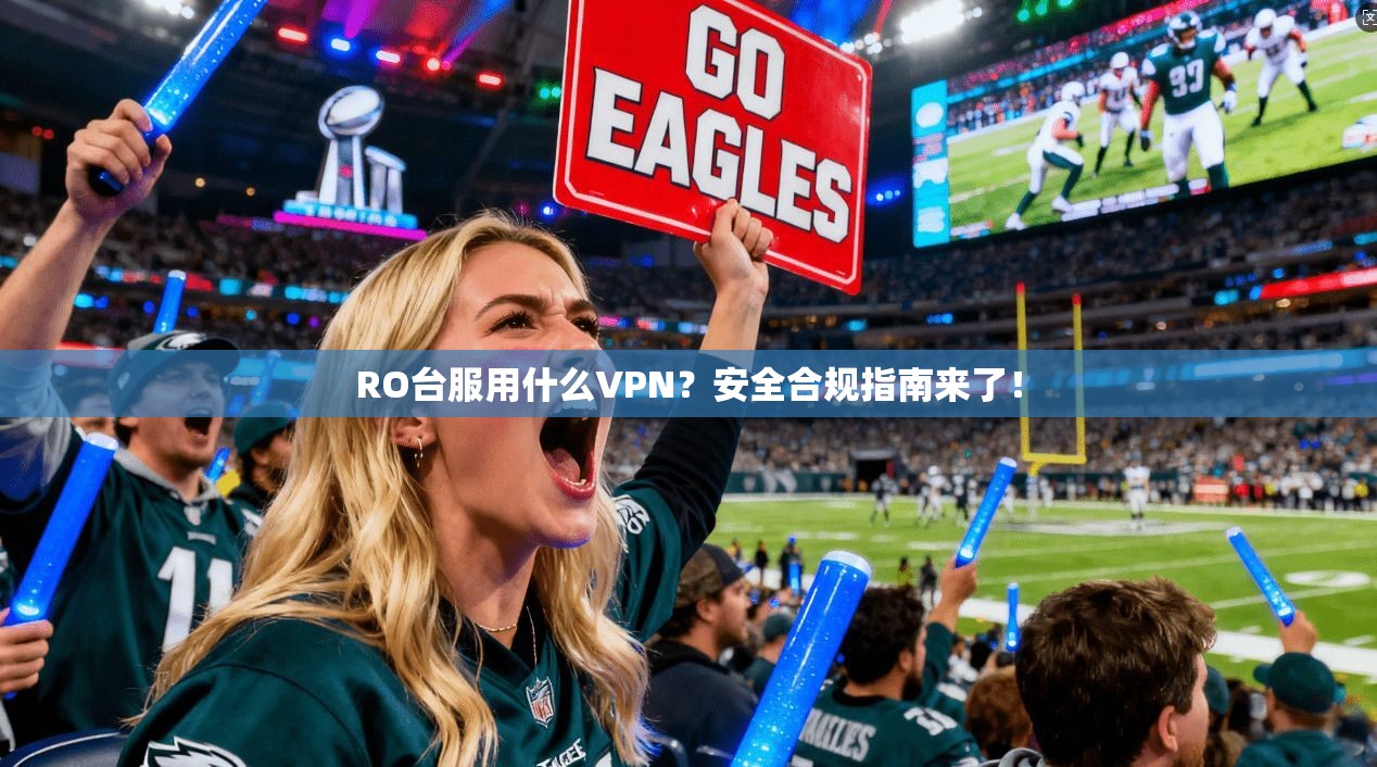 RO台服用什么VPN?安全合规指南来了!