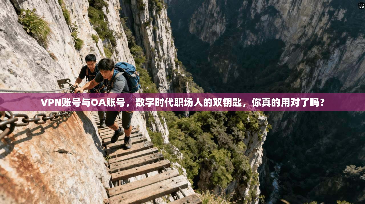 VPN账号与OA账号，数字时代职场人的双钥匙，你真的用对了吗？