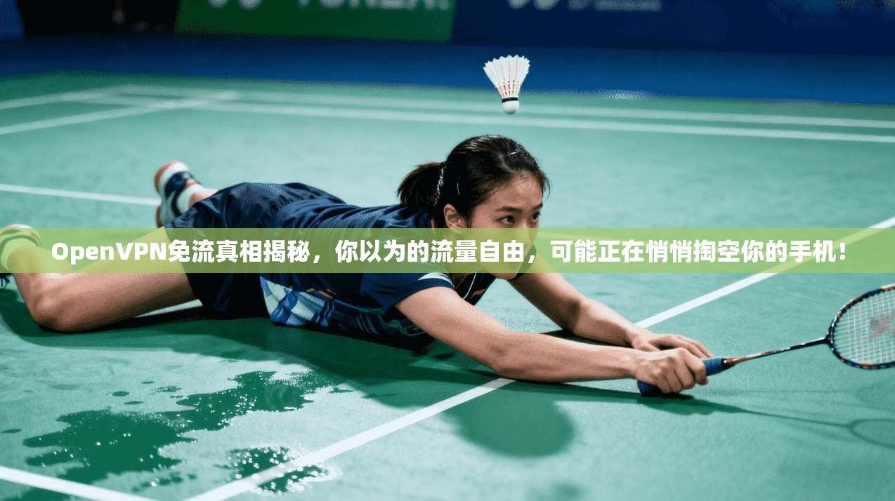 OpenVPN免流真相揭秘,你以为的流量自由,可能正在悄悄掏空你的手机!