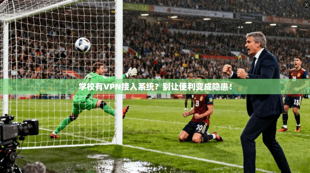 学校有VPN接入系统？别让便利变成隐患！