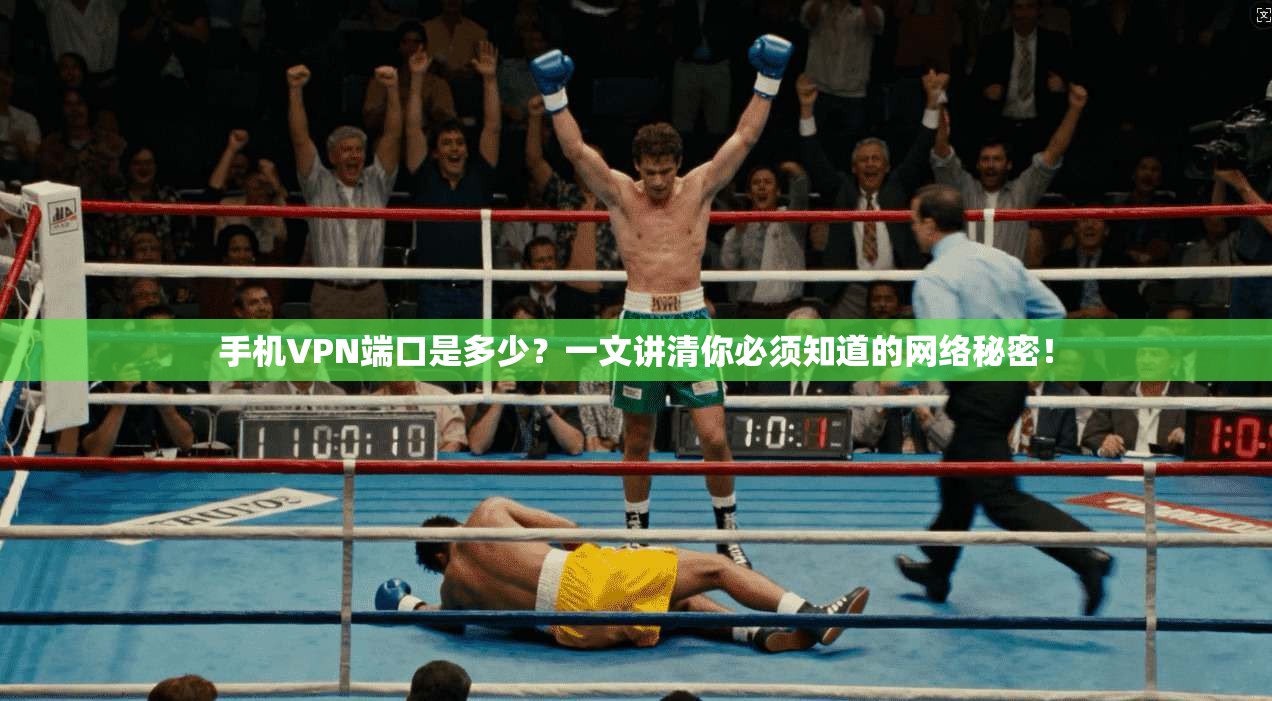 手机VPN端口是多少？一文讲清你必须知道的网络秘密！