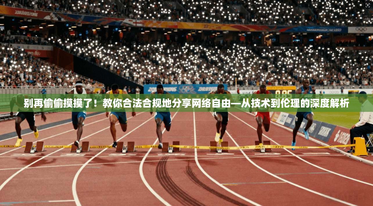 别再偷偷摸摸了！教你合法合规地分享网络自由—从技术到伦理的深度解析