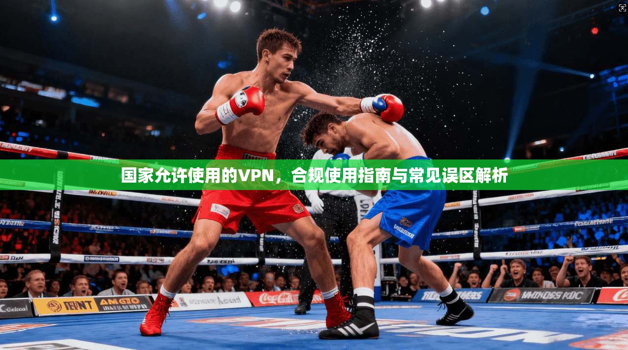 国家允许使用的VPN，合规使用指南与常见误区解析