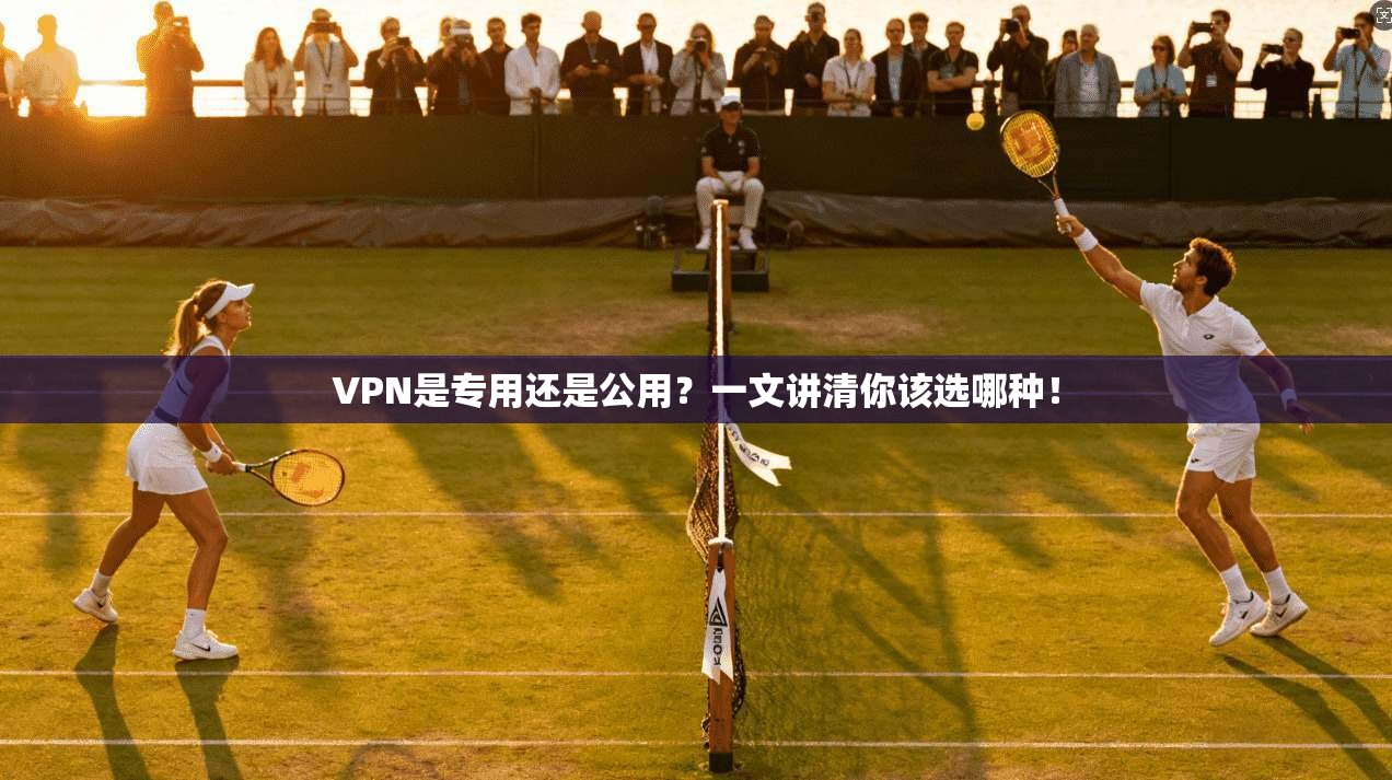 VPN是专用还是公用？一文讲清你该选哪种！
