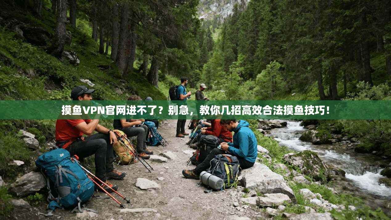 摸鱼VPN官网进不了？别急，教你几招高效合法摸鱼技巧！