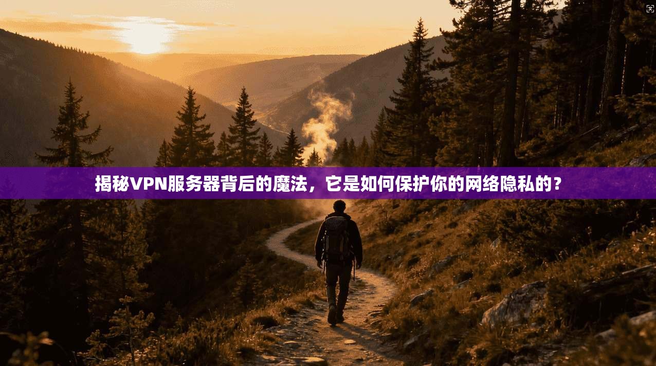 揭秘VPN服务器背后的魔法，它是如何保护你的网络隐私的？
