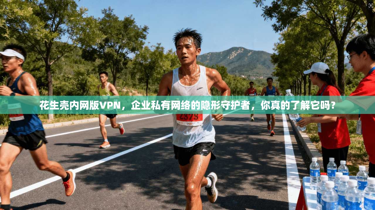 花生壳内网版VPN，企业私有网络的隐形守护者，你真的了解它吗？