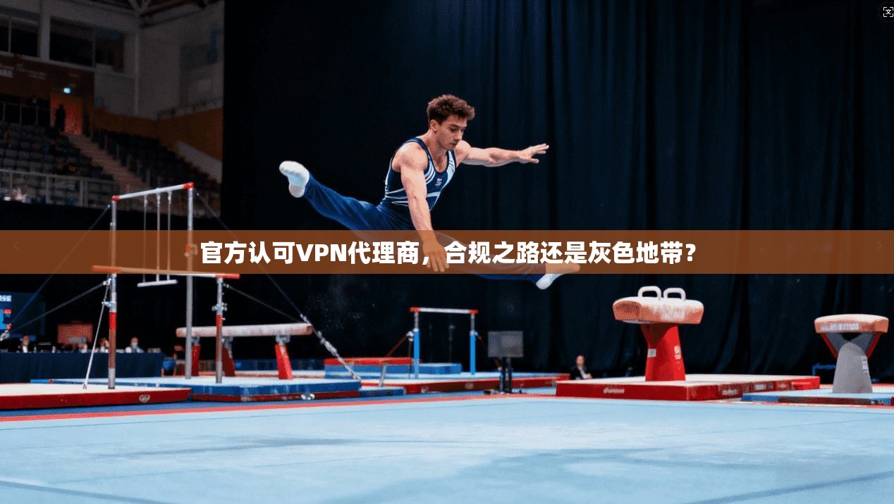 官方认可VPN代理商，合规之路还是灰色地带？