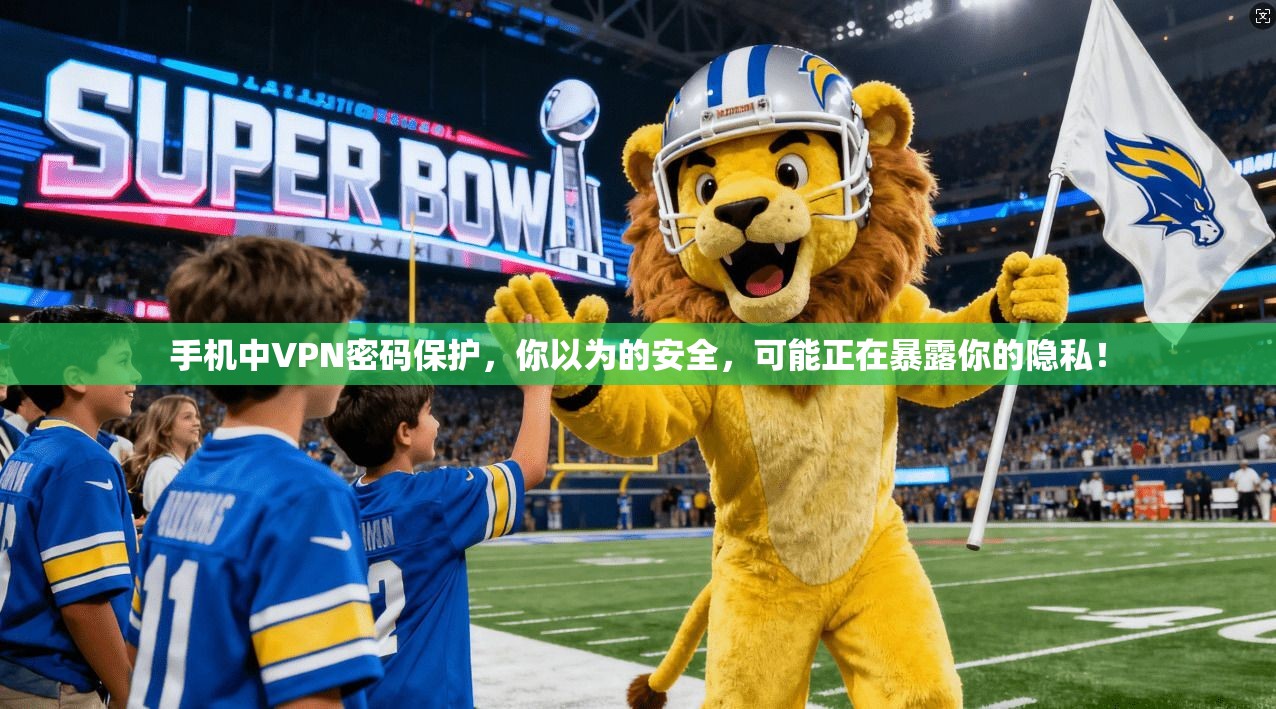 手机中VPN密码保护,你以为的安全,可能正在暴露你的隐私!