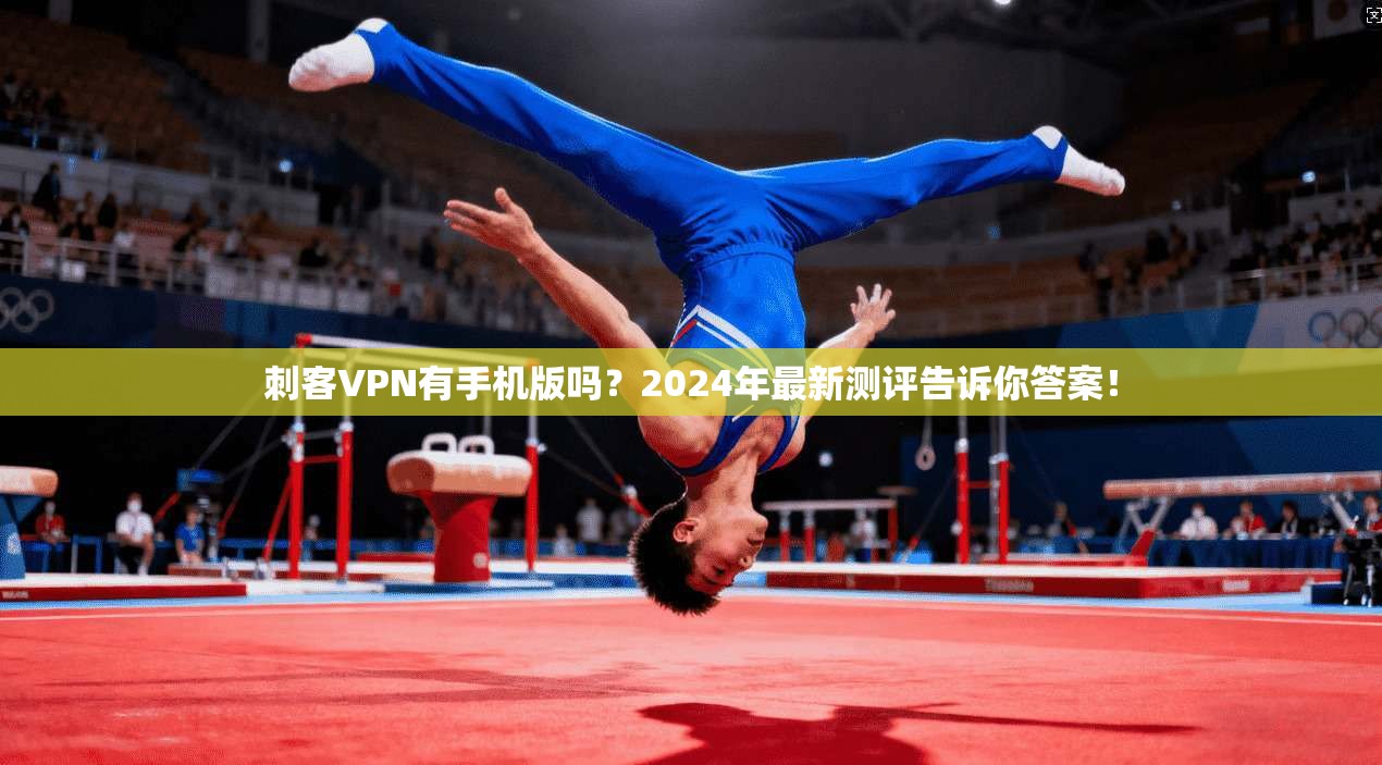 刺客VPN有手机版吗？2024年最新测评告诉你答案！