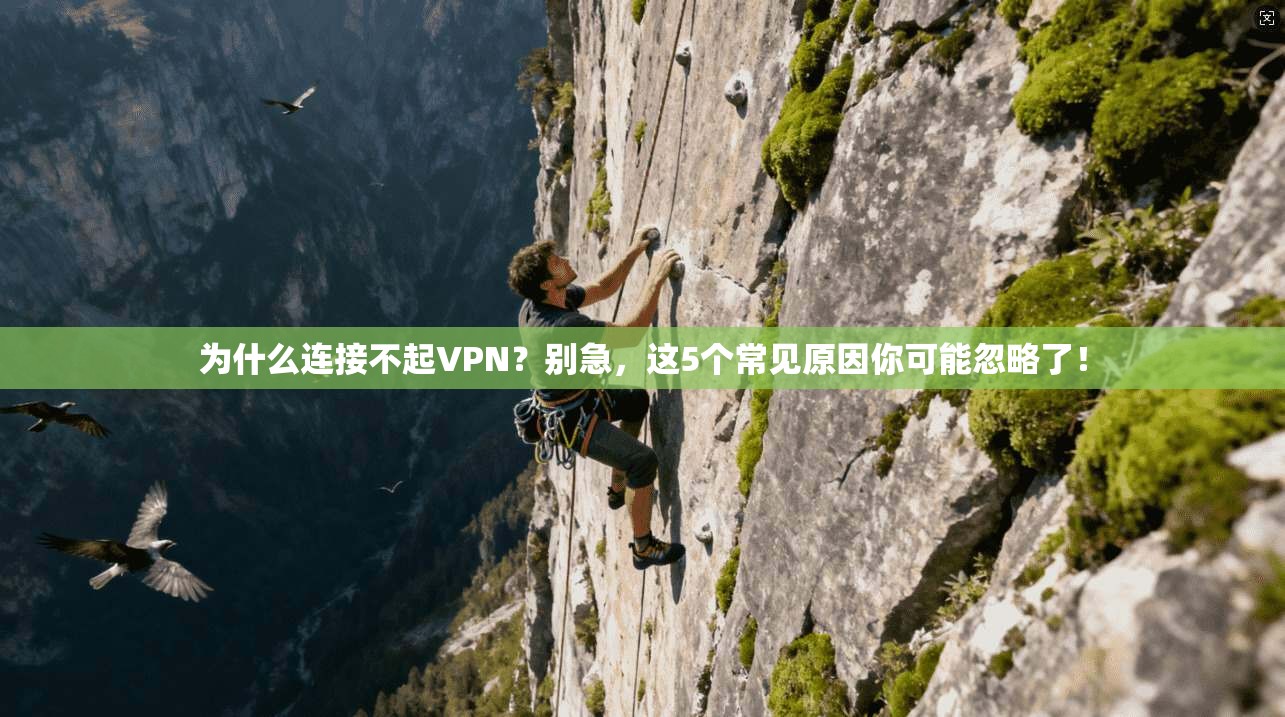 为什么连接不起VPN？别急，这5个常见原因你可能忽略了！