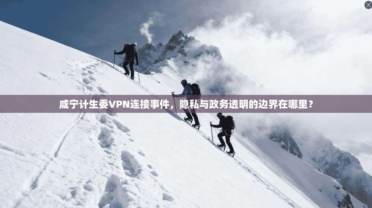 咸宁计生委VPN连接事件，隐私与政务透明的边界在哪里？