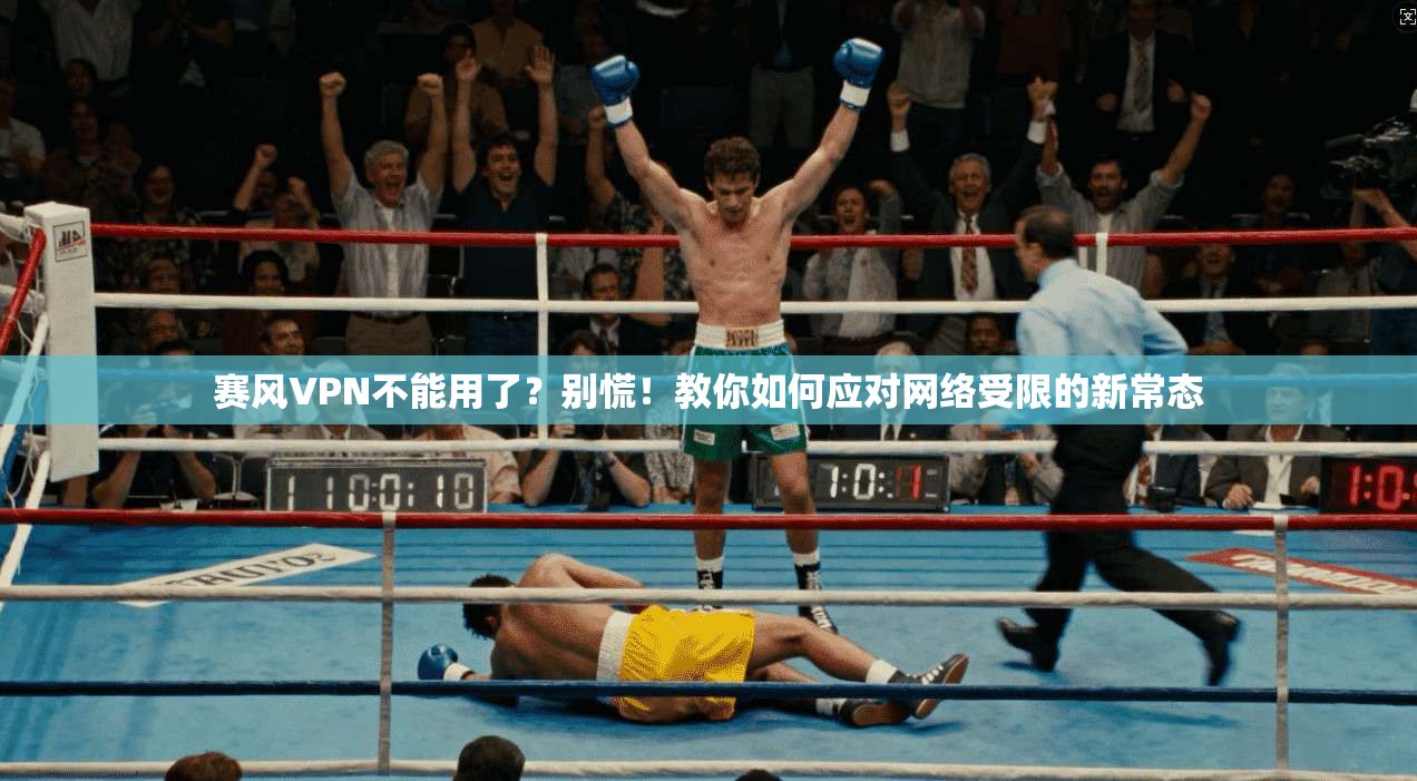 赛风VPN不能用了？别慌！教你如何应对网络受限的新常态