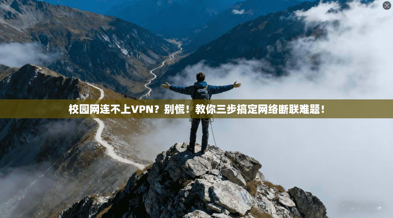 校园网连不上VPN？别慌！教你三步搞定网络断联难题！
