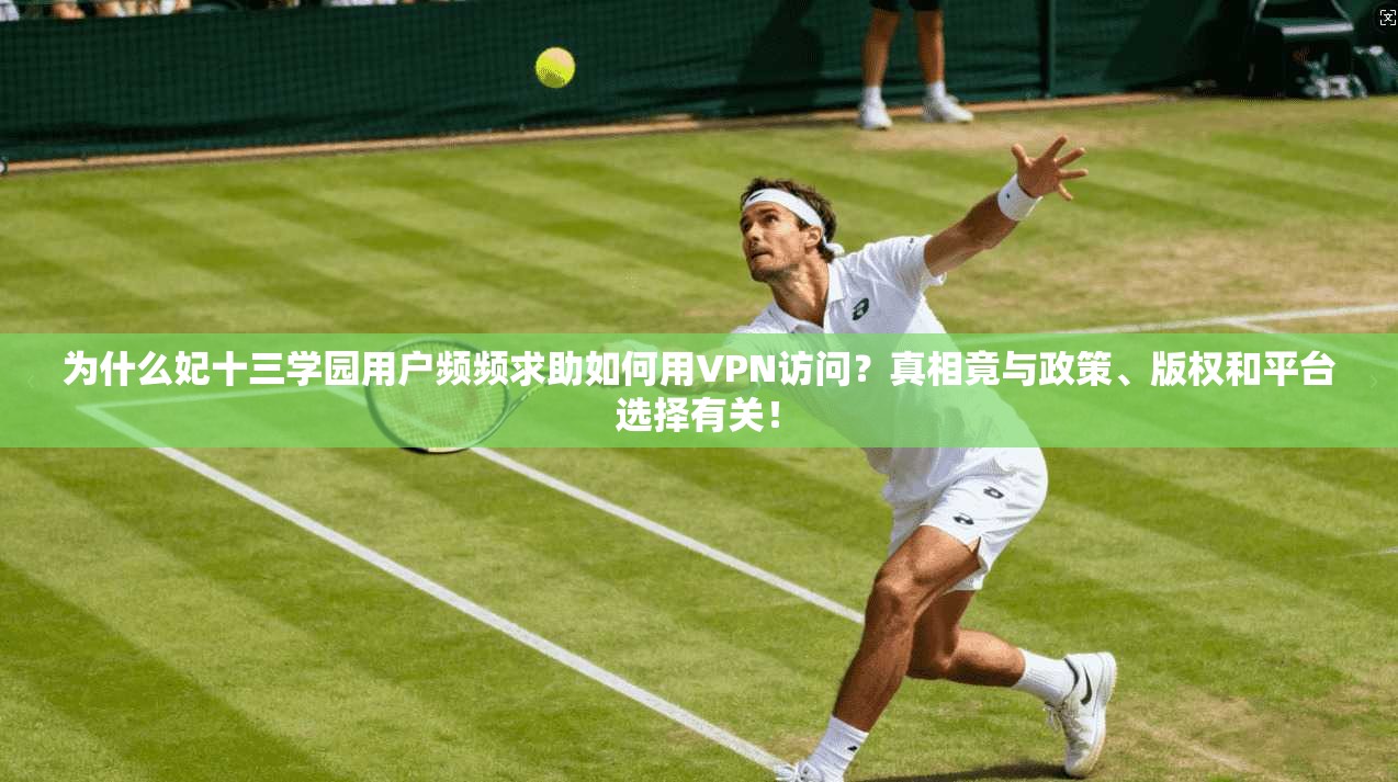 为什么妃十三学园用户频频求助如何用VPN访问？真相竟与政策、版权和平台选择有关！
