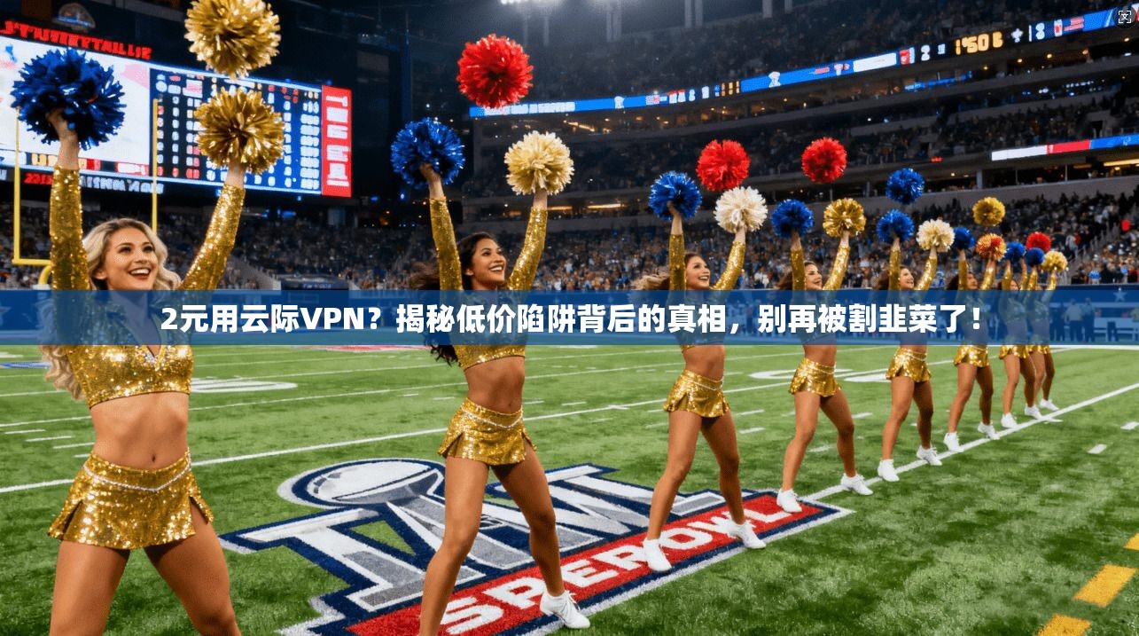 2元用云际VPN？揭秘低价陷阱背后的真相，别再被割韭菜了！