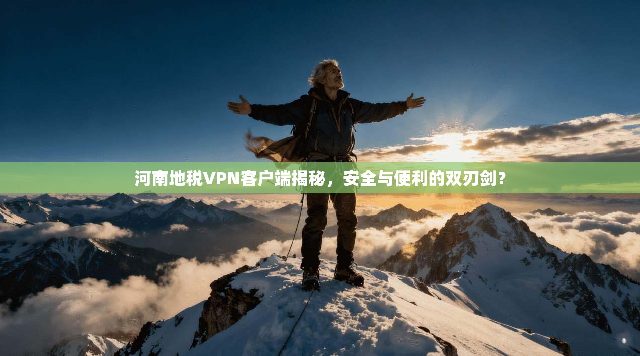 河南地税VPN客户端揭秘，安全与便利的双刃剑？
