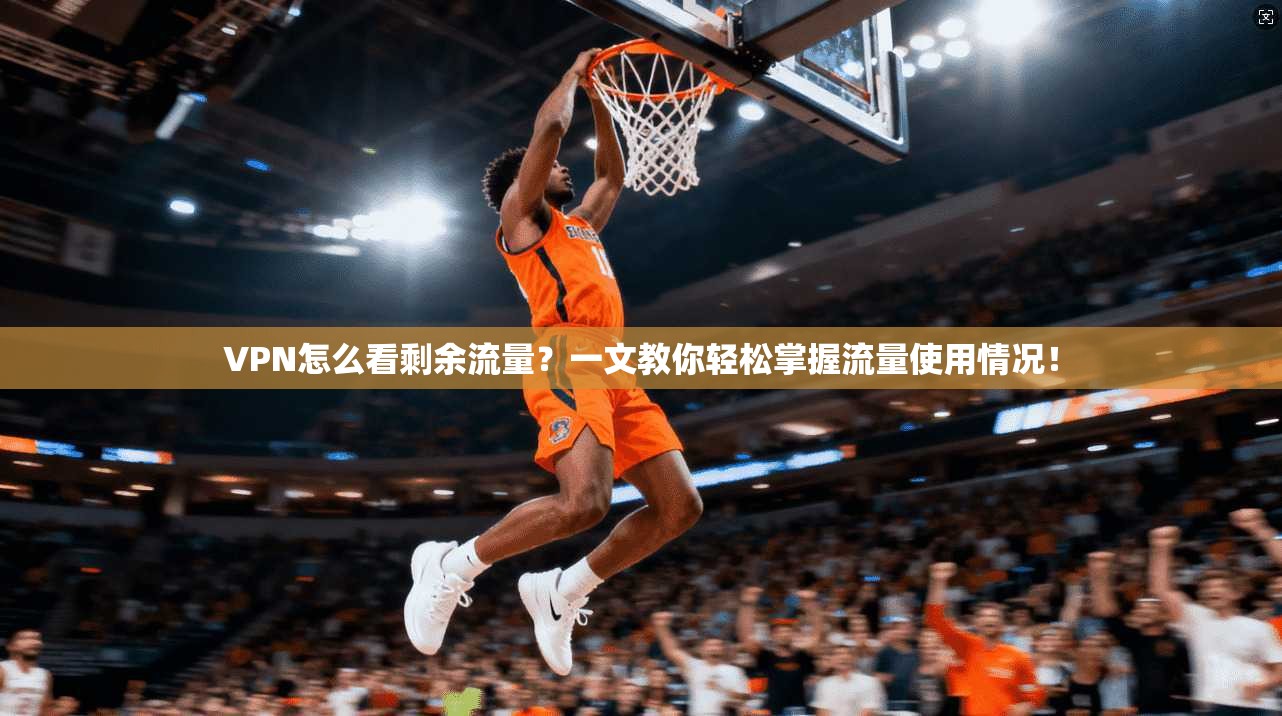 VPN怎么看剩余流量？一文教你轻松掌握流量使用情况！