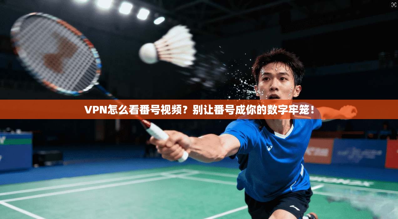 VPN怎么看番号视频？别让番号成你的数字牢笼！