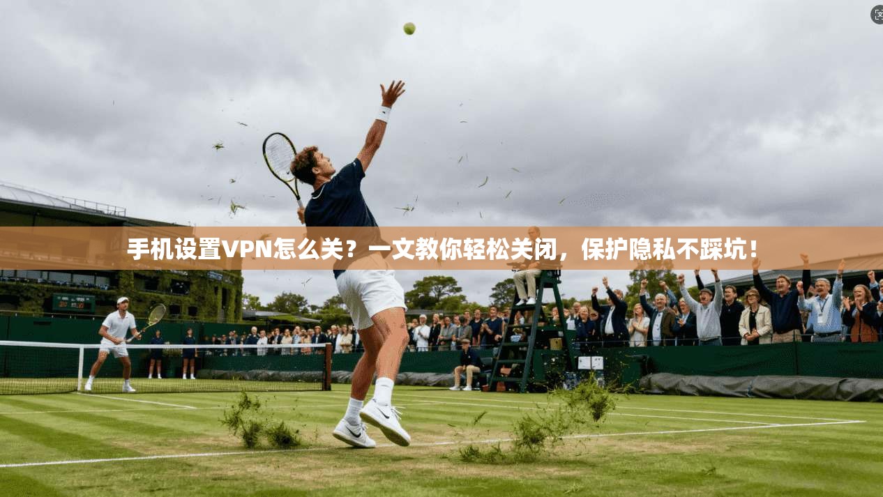 手机设置VPN怎么关？一文教你轻松关闭，保护隐私不踩坑！