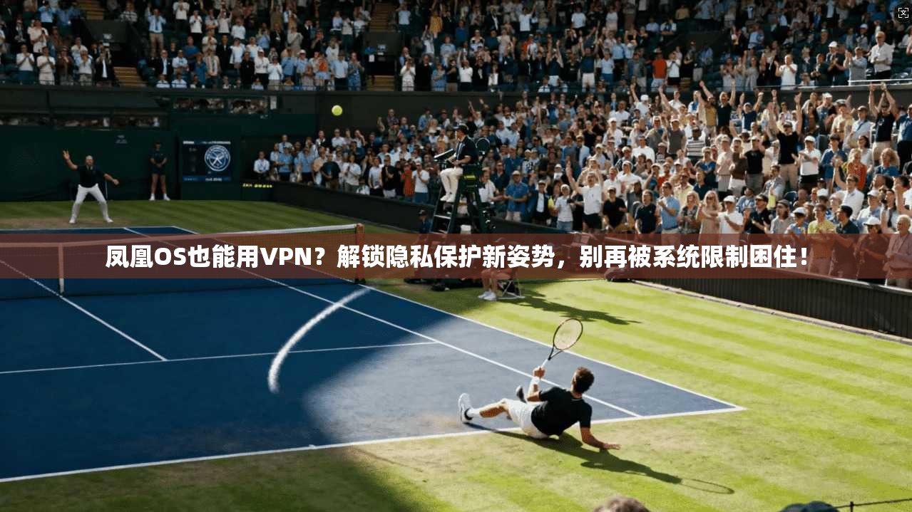 凤凰OS也能用VPN?解锁隐私保护新姿势,别再被系统限制困住!