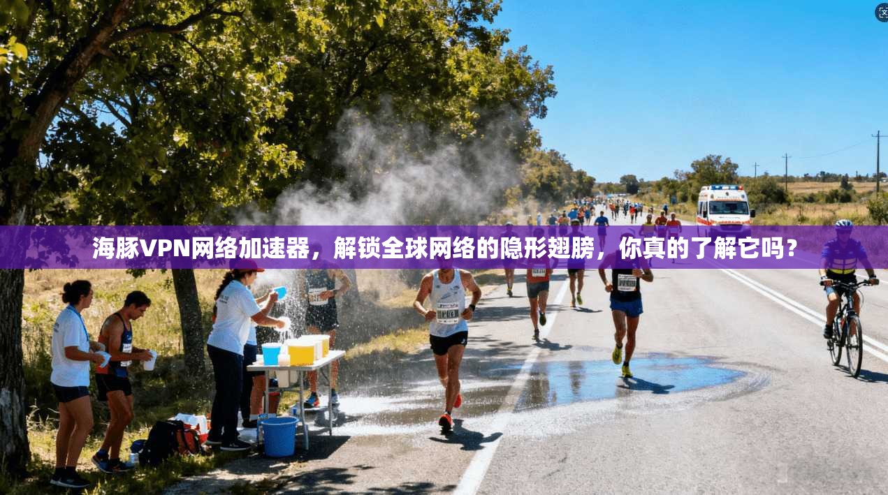 海豚VPN网络加速器，解锁全球网络的隐形翅膀，你真的了解它吗？