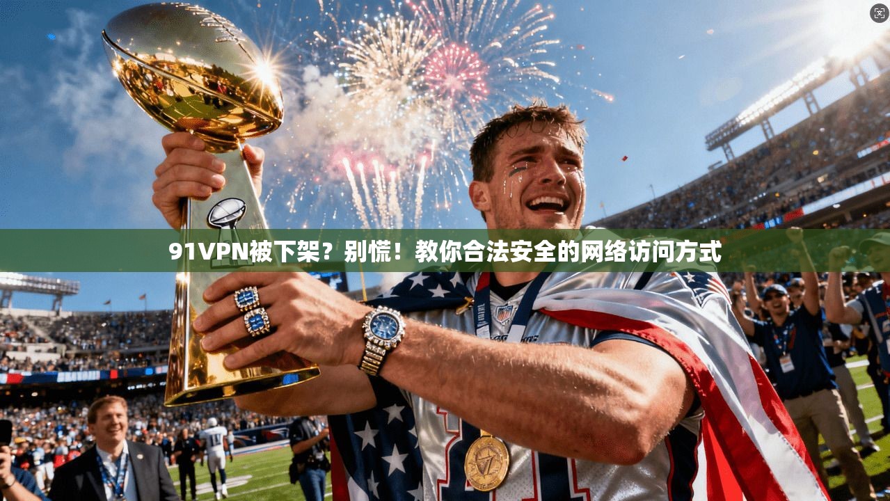 91VPN被下架？别慌！教你合法安全的网络访问方式