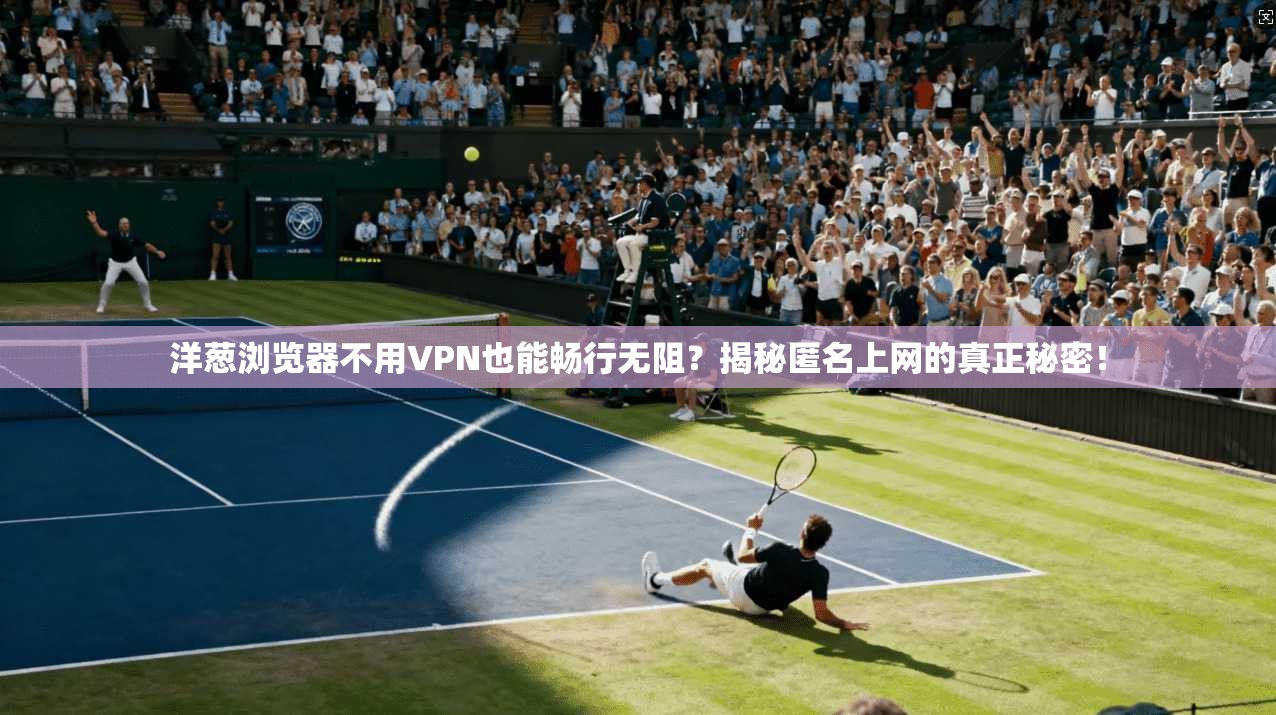 洋葱浏览器不用VPN也能畅行无阻?揭秘匿名上网的真正秘密!