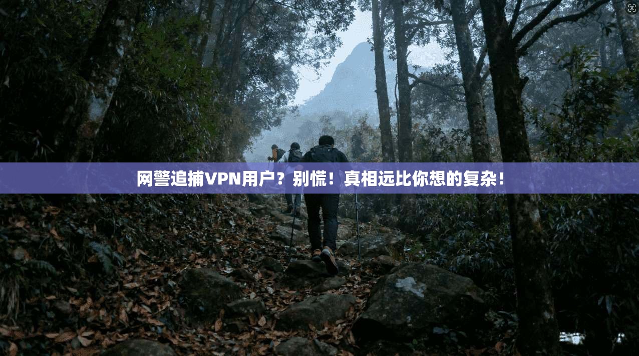 网警追捕VPN用户？别慌！真相远比你想的复杂！