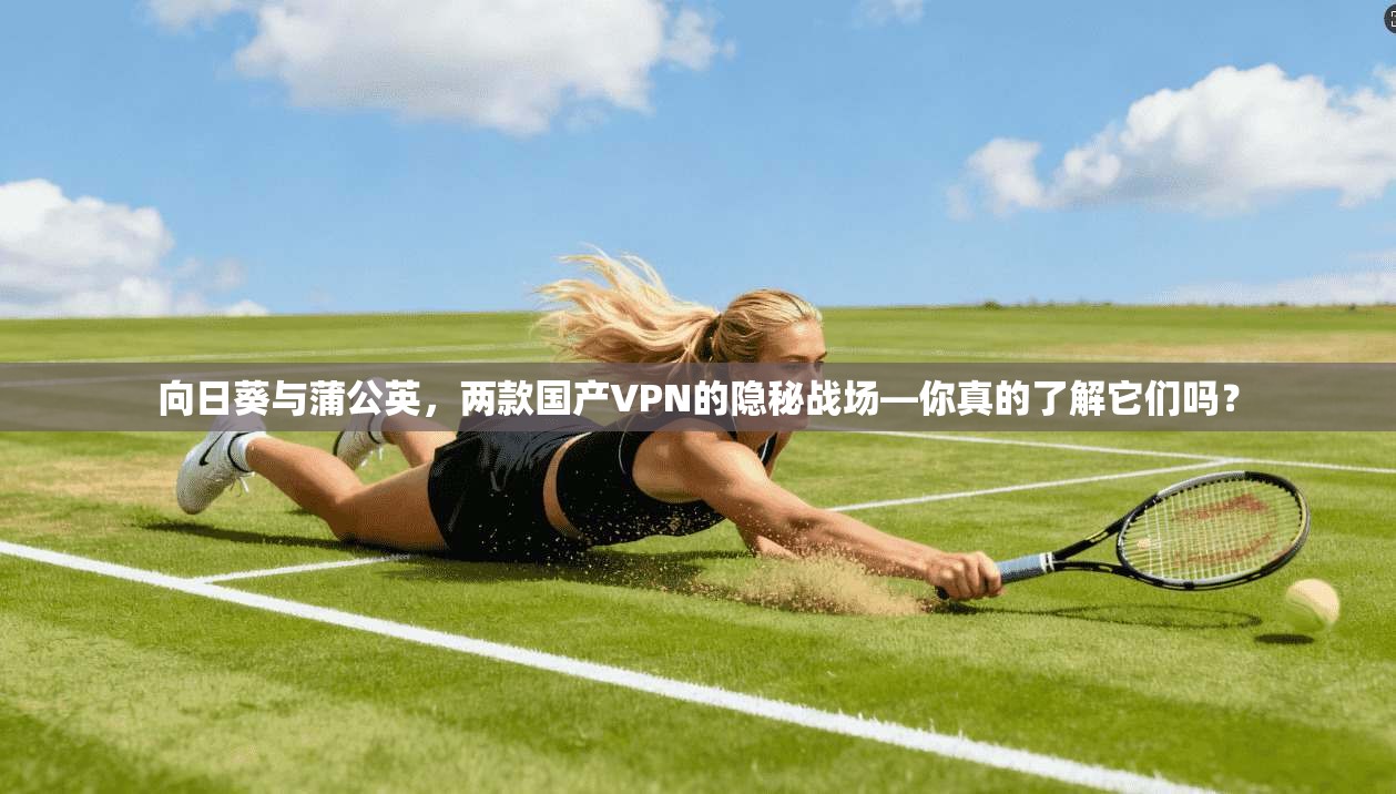 向日葵与蒲公英,两款国产VPN的隐秘战场—你真的了解它们吗?