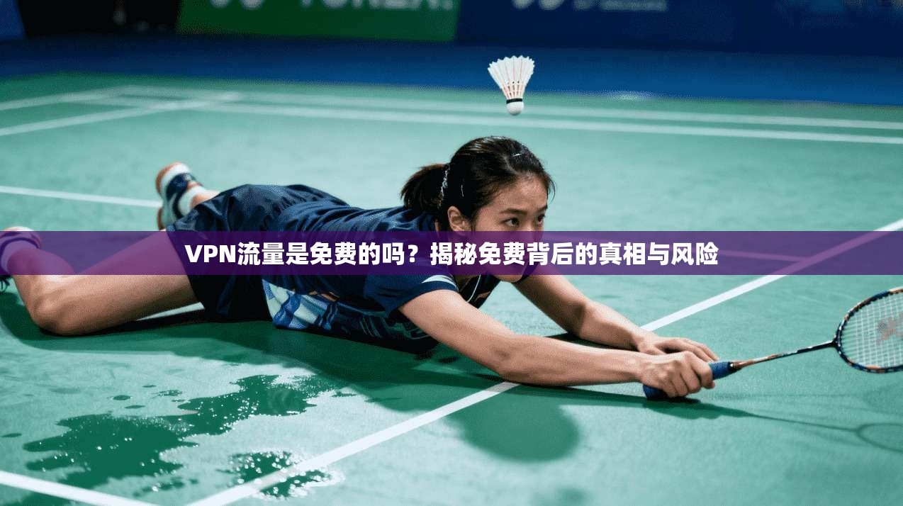 VPN流量是免费的吗?揭秘免费背后的真相与风险