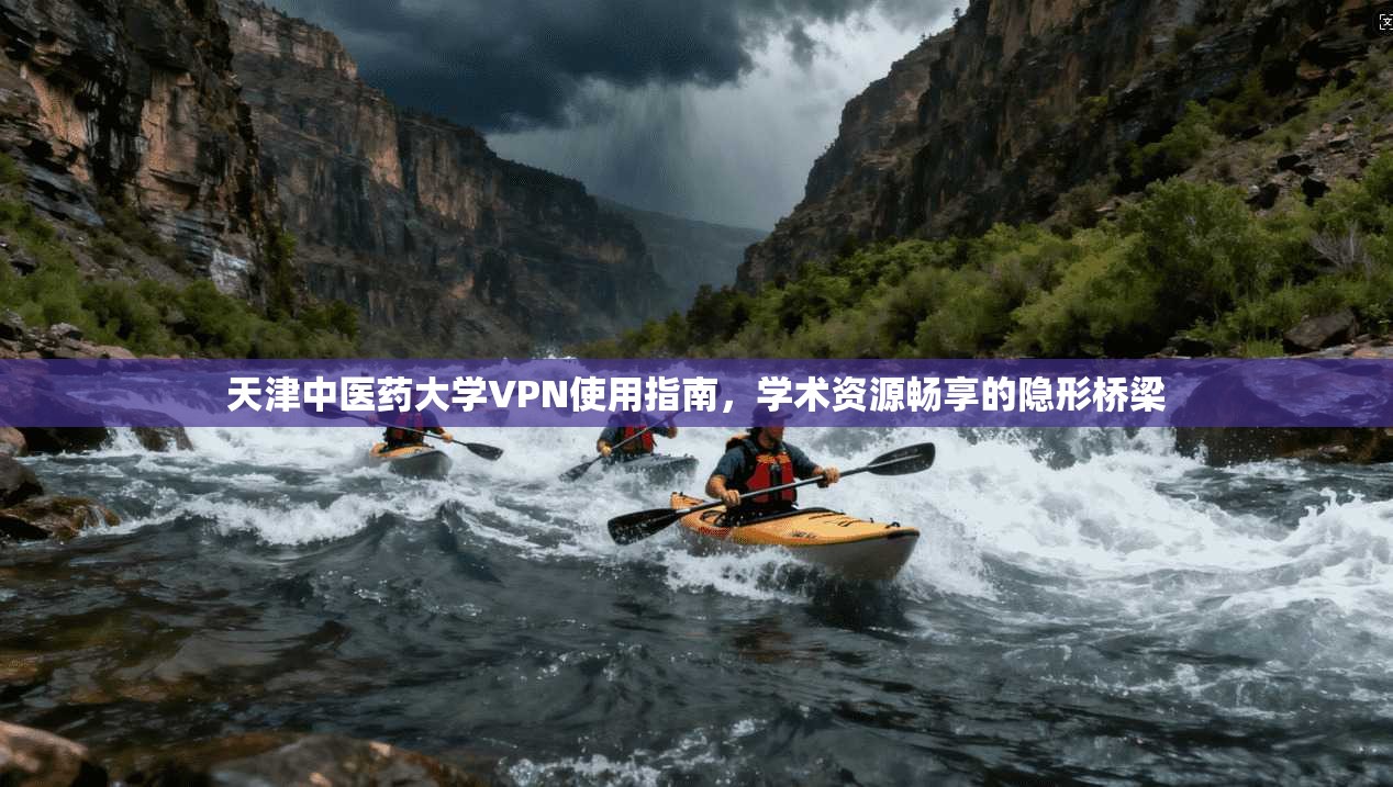 天津中医药大学VPN使用指南，学术资源畅享的隐形桥梁