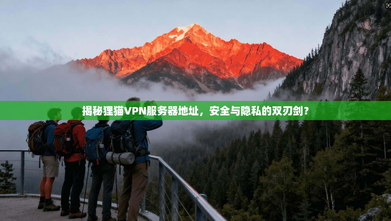 揭秘狸猫VPN服务器地址,安全与隐私的双刃剑?