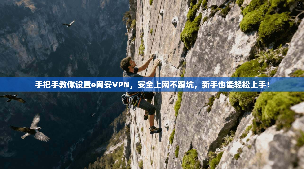 手把手教你设置e网安VPN，安全上网不踩坑，新手也能轻松上手！
