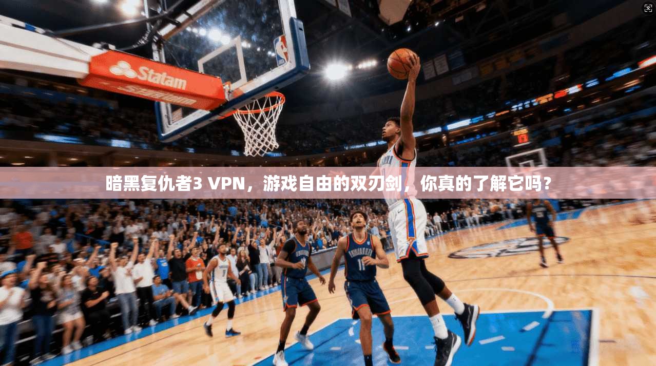 暗黑复仇者3 VPN，游戏自由的双刃剑，你真的了解它吗？