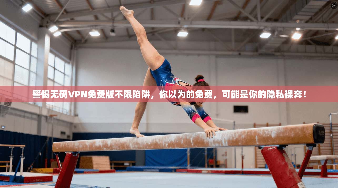 警惕无码VPN免费版不限陷阱，你以为的免费，可能是你的隐私裸奔！