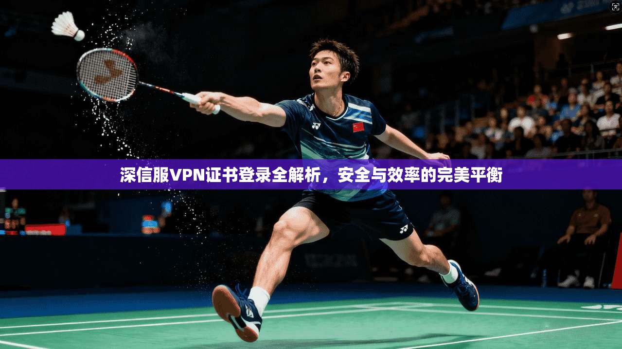 深信服VPN证书登录全解析,安全与效率的完美平衡