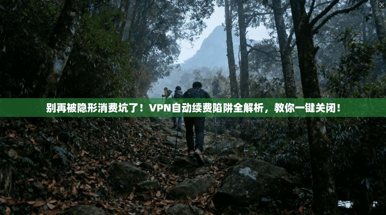 别再被隐形消费坑了!VPN自动续费陷阱全解析,教你一键关闭!