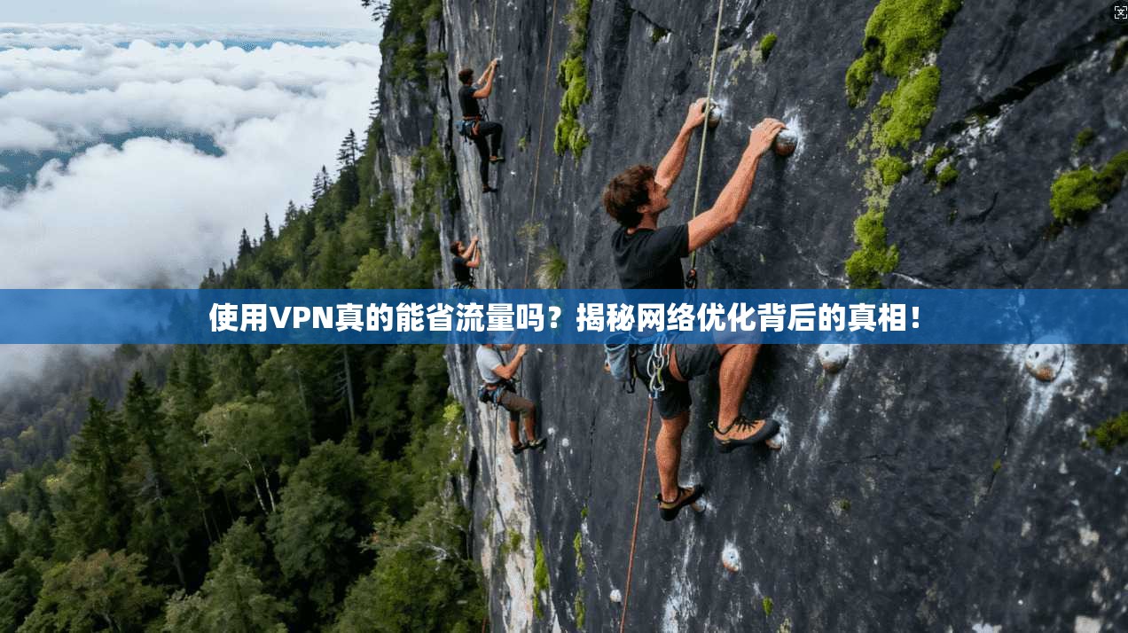 使用VPN真的能省流量吗？揭秘网络优化背后的真相！