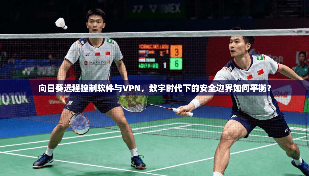 向日葵远程控制软件与VPN，数字时代下的安全边界如何平衡？