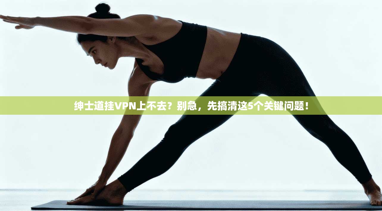 绅士道挂VPN上不去?别急,先搞清这5个关键问题!