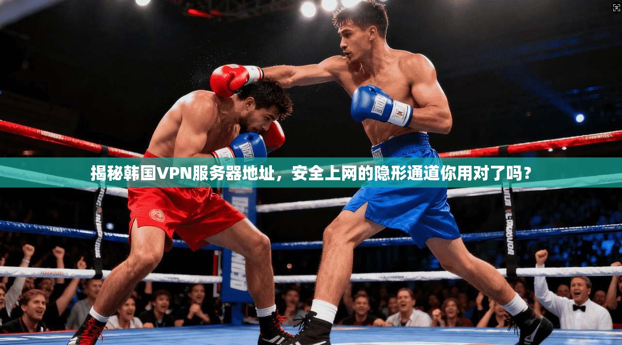 揭秘韩国VPN服务器地址,安全上网的隐形通道你用对了吗?