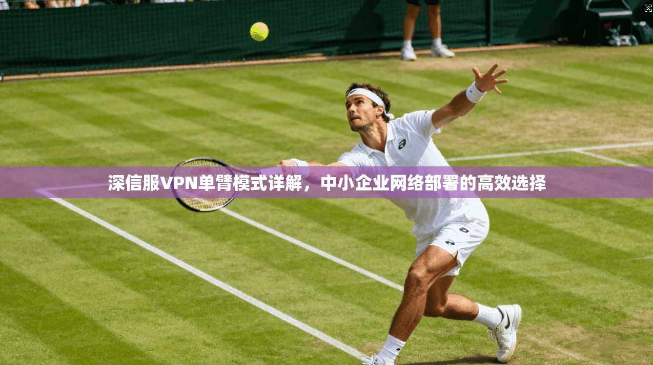 深信服VPN单臂模式详解，中小企业网络部署的高效选择