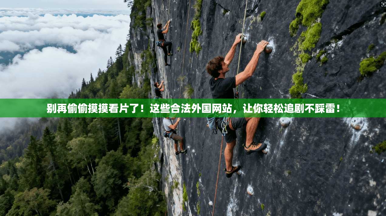 别再偷偷摸摸看片了！这些合法外国网站，让你轻松追剧不踩雷！