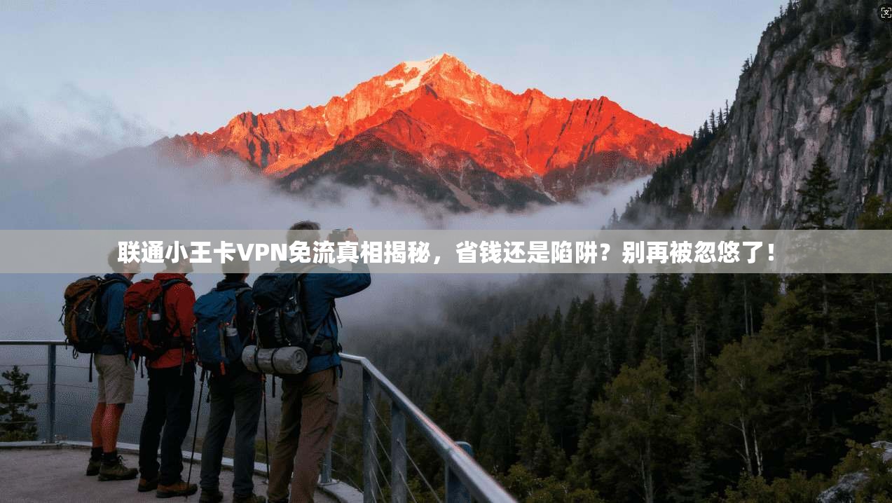 联通小王卡VPN免流真相揭秘，省钱还是陷阱？别再被忽悠了！