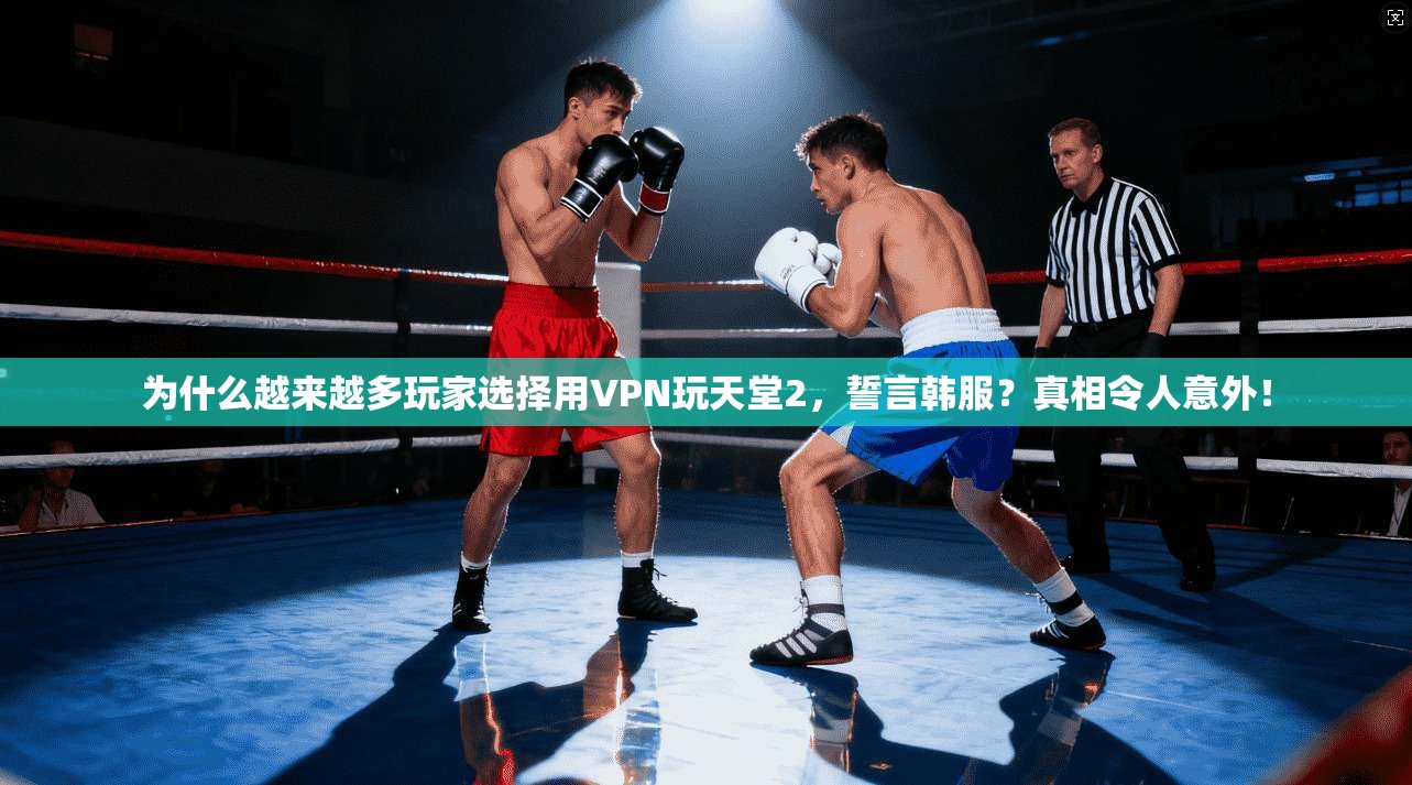 为什么越来越多玩家选择用VPN玩天堂2，誓言韩服？真相令人意外！