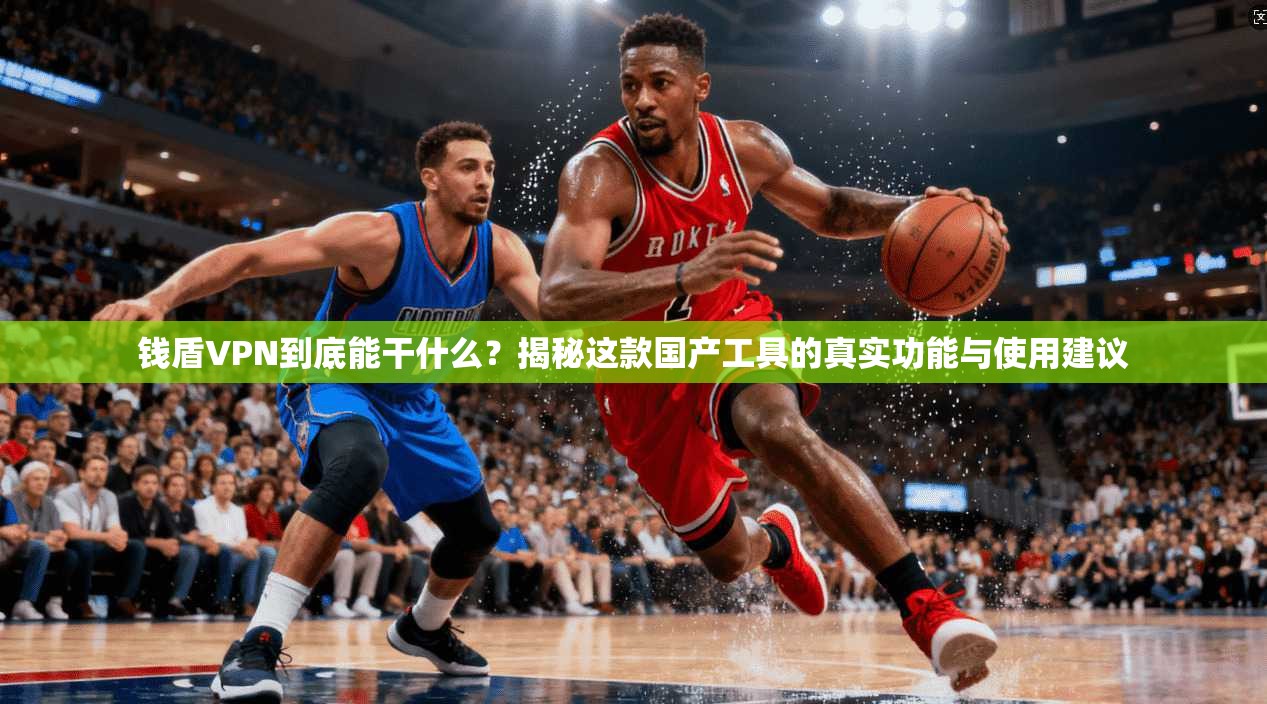 钱盾VPN到底能干什么？揭秘这款国产工具的真实功能与使用建议