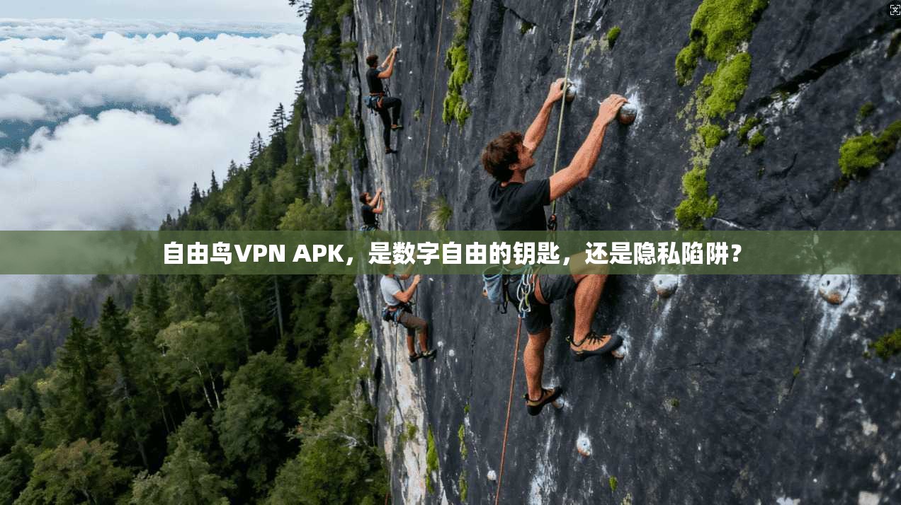 自由鸟VPN APK，是数字自由的钥匙，还是隐私陷阱？