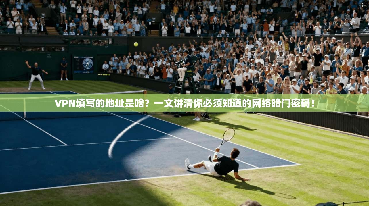 VPN填写的地址是啥?一文讲清你必须知道的网络暗门密码!